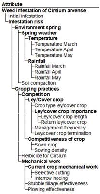 IPSIM-Cirsium, a Qualitative Expert-Based Model to Predict Infestations of Cirsium arvense